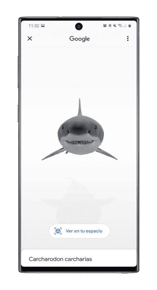tiburon-animal-AR
